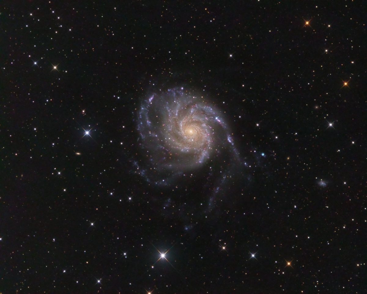 Supernova in Pinwheel Galaxy